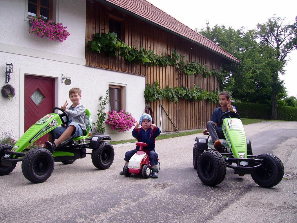 Vitalhof Roithinger Grieskirchen Oda fotoğraf